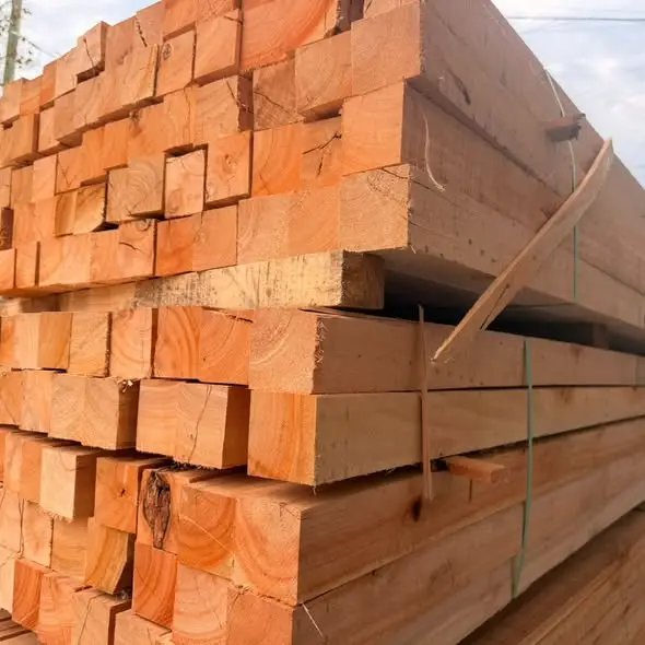 🔨 Madera Saligna para construcción y obra 🔨