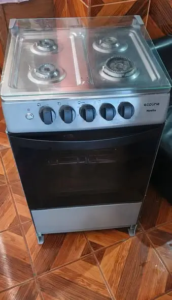 Vendo cocina Ecoline Noelia + cilindro de gas incluido - Imagen 2